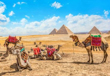 pyramids-and-camels
